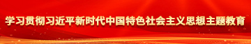 美女插b在线观看学习贯彻习近平新时代中国特色社会主义思想主题教育